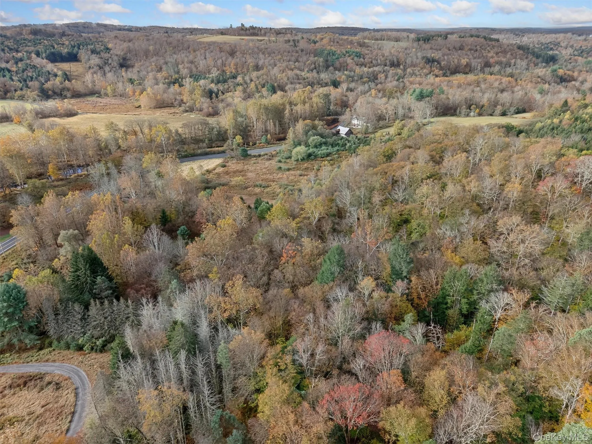 22 State Route 52A, Delaware, NY, ,Land,For Rent,State Route 52A,0,1011100 22 State Route 52A, Delaware, NY, ,Land,For Rent,State Route 52A,0,1011100