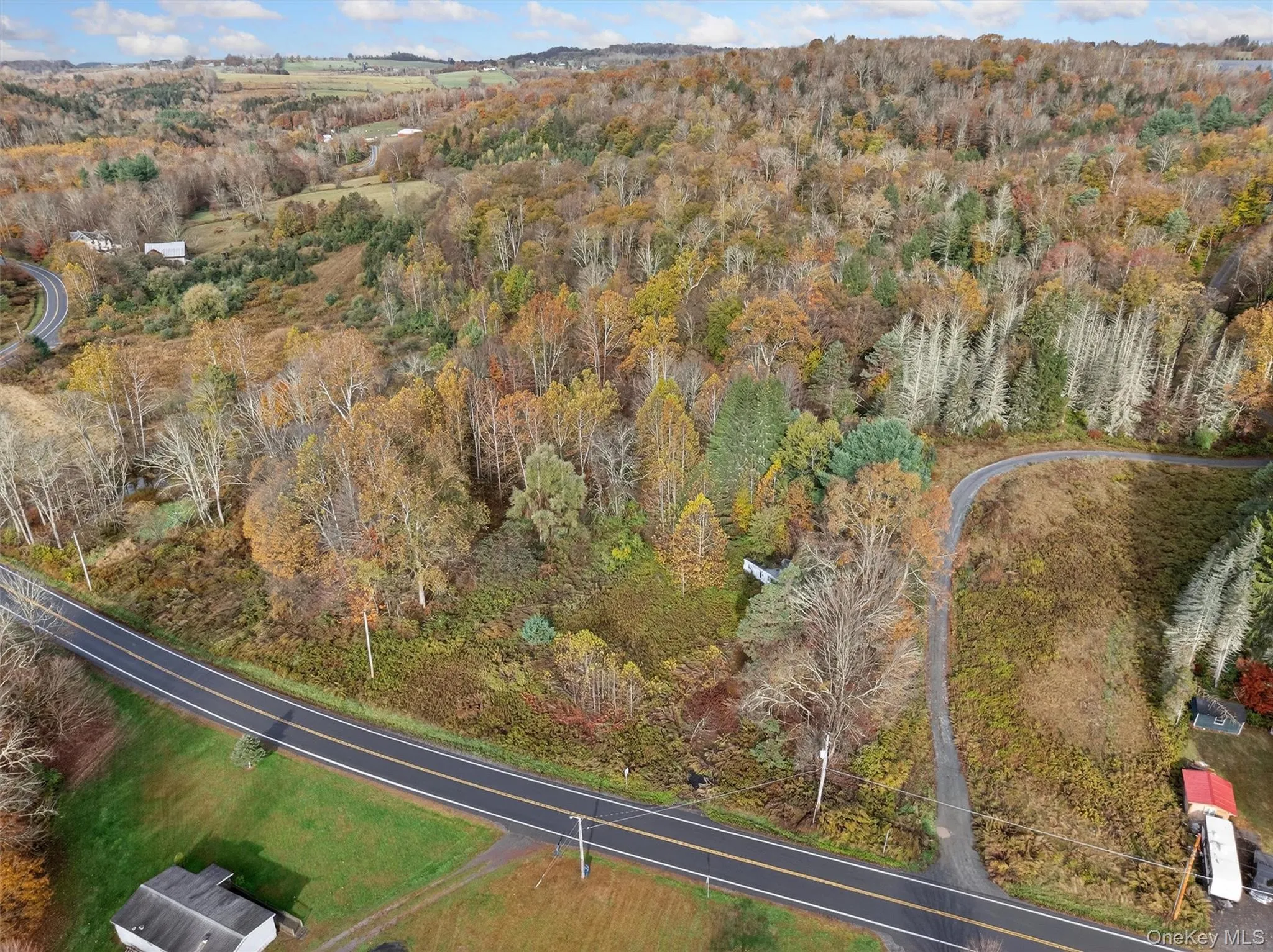 22 State Route 52A, Delaware, NY, ,Land,For Rent,State Route 52A,0,1011100 22 State Route 52A, Delaware, NY, ,Land,For Rent,State Route 52A,0,1011100