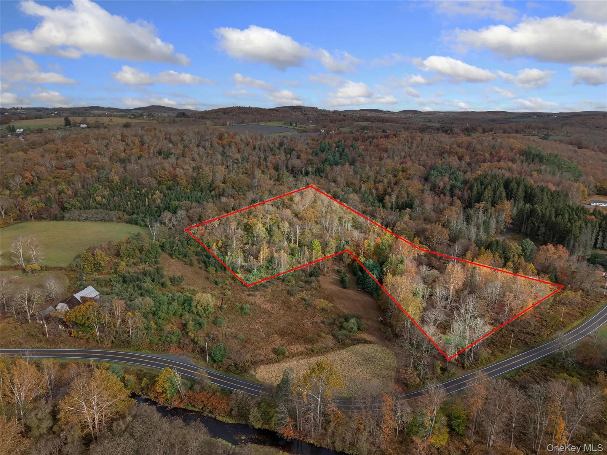22 State Route 52A, Delaware, NY, ,Land,For Rent,State Route 52A,0,1011100 22 State Route 52A, Delaware, NY, ,Land,For Rent,State Route 52A,0,1011100