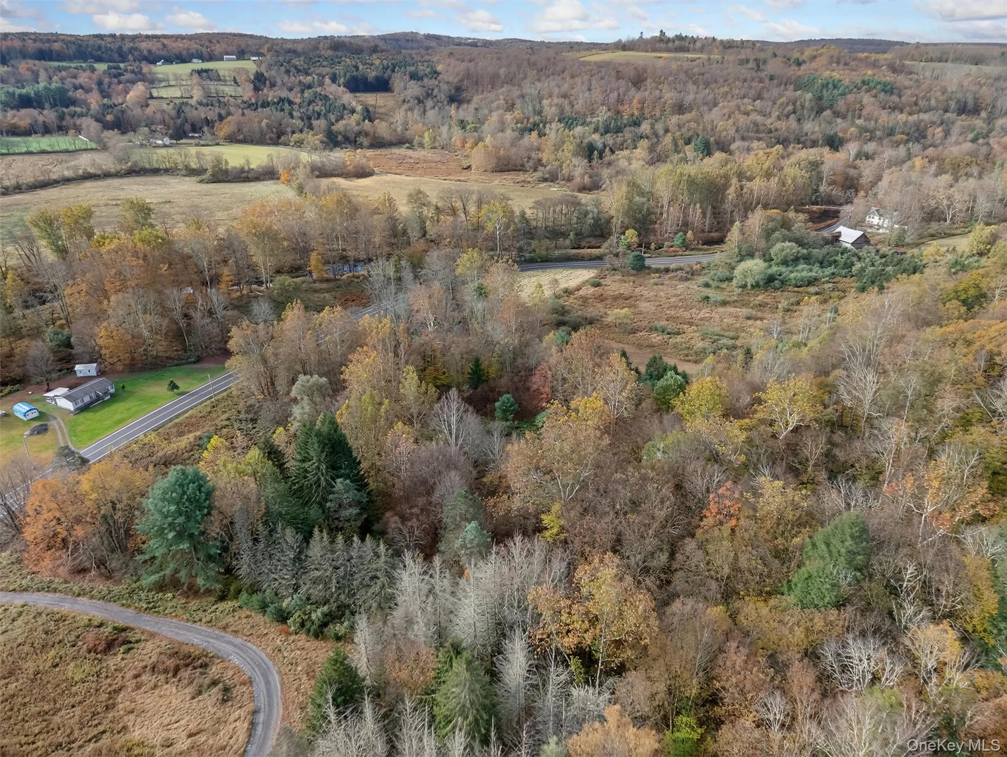 22 State Route 52A, Delaware, NY, ,Land,For Rent,State Route 52A,0,1011100 22 State Route 52A, Delaware, NY, ,Land,For Rent,State Route 52A,0,1011100