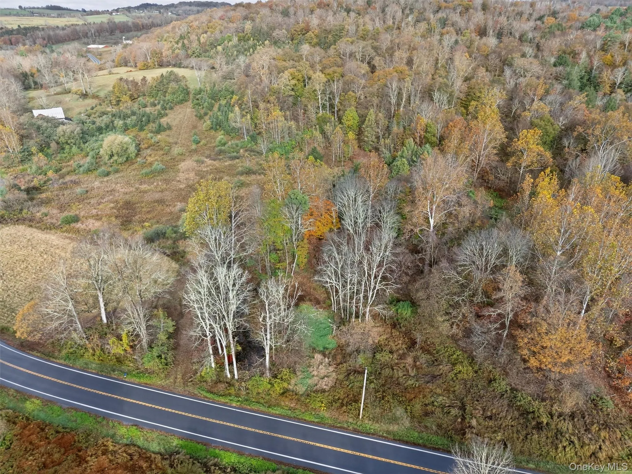 22 State Route 52A, Delaware, NY, ,Land,For Rent,State Route 52A,0,1011100 22 State Route 52A, Delaware, NY, ,Land,For Rent,State Route 52A,0,1011100