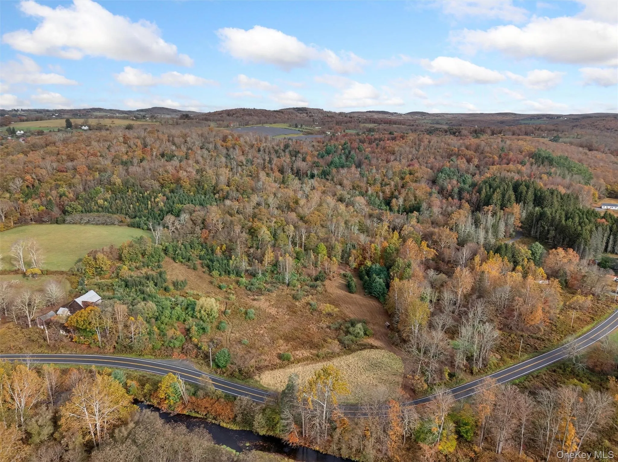 22 State Route 52A, Delaware, NY, ,Land,For Rent,State Route 52A,0,1011100 22 State Route 52A, Delaware, NY, ,Land,For Rent,State Route 52A,0,1011100