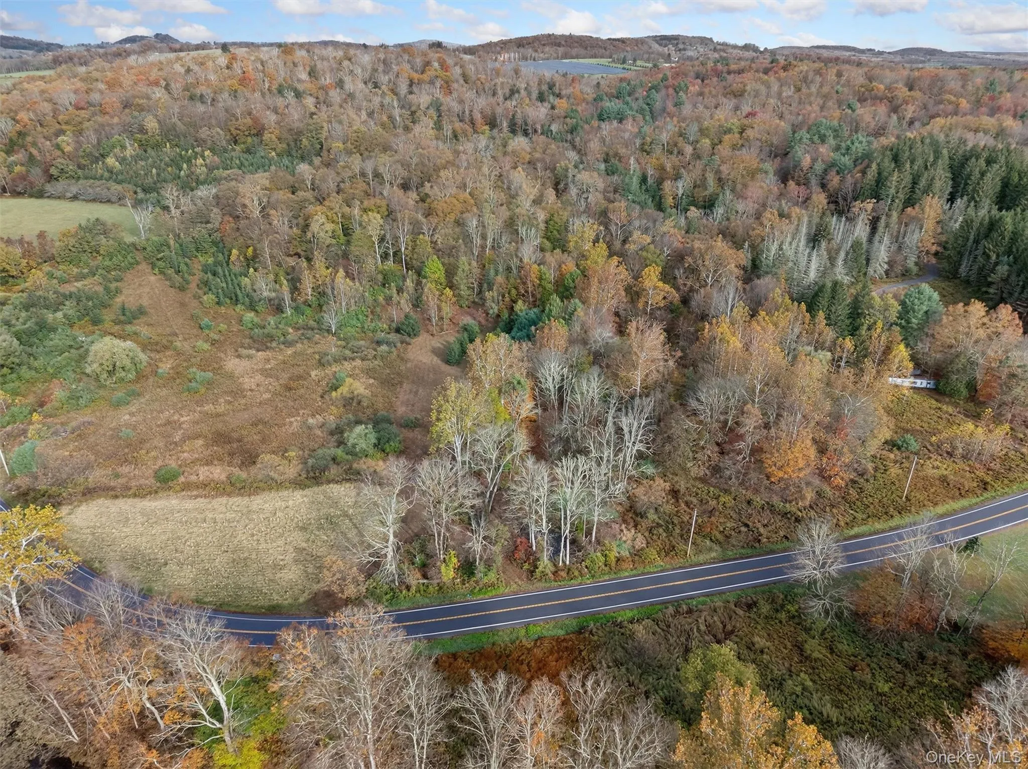 22 State Route 52A, Delaware, NY, ,Land,For Rent,State Route 52A,0,1011100 22 State Route 52A, Delaware, NY, ,Land,For Rent,State Route 52A,0,1011100