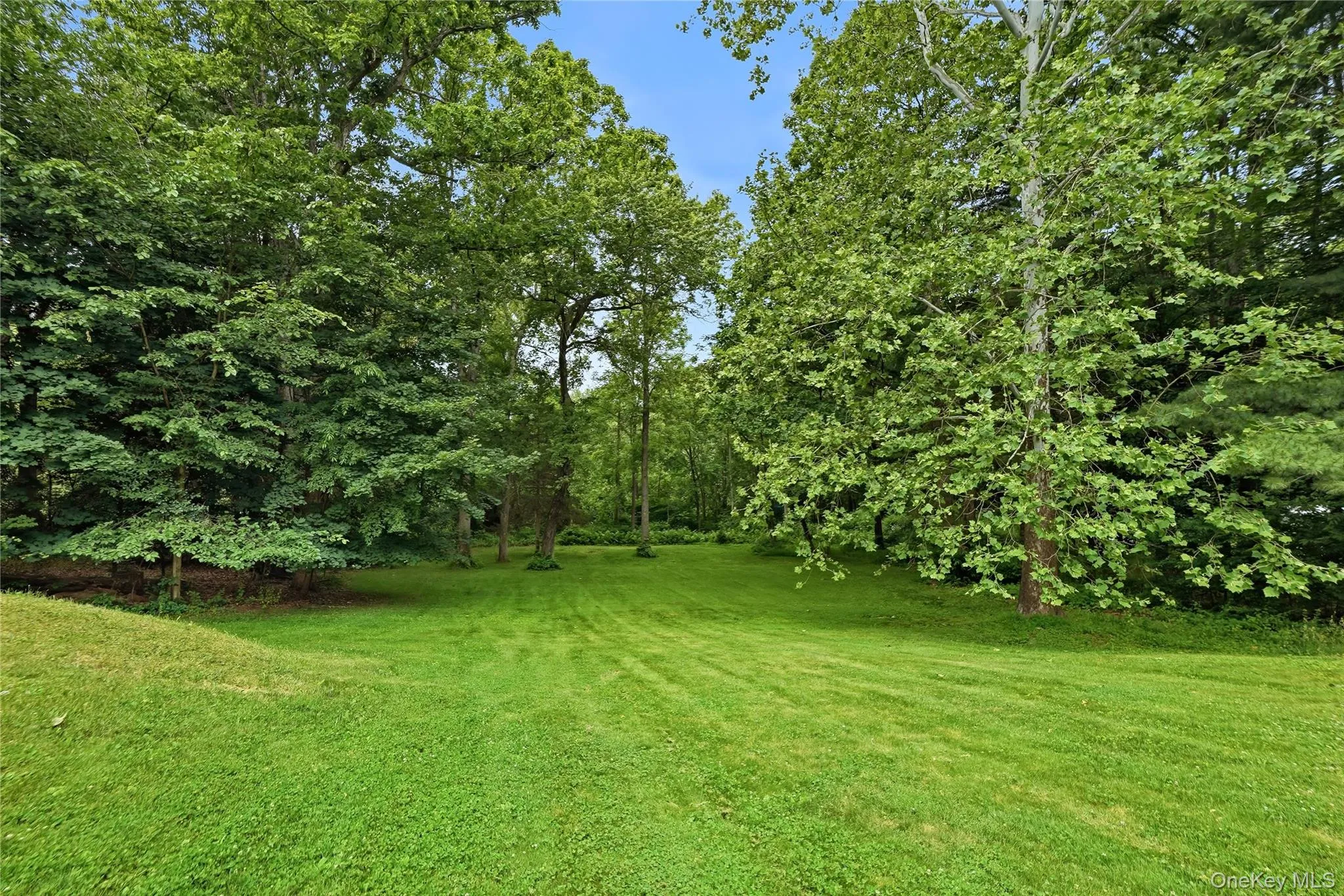 Manicured back yard Manicured back yard