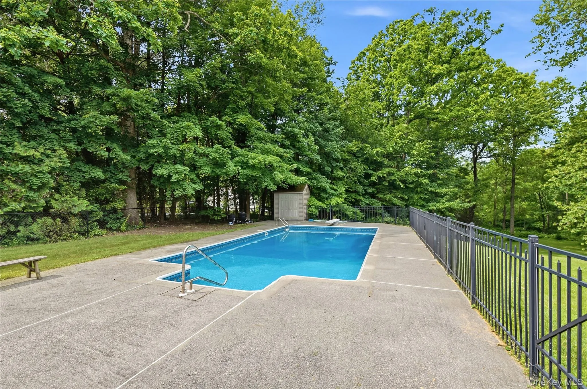 18 x 36 Inground pool 18 x 36 Inground pool