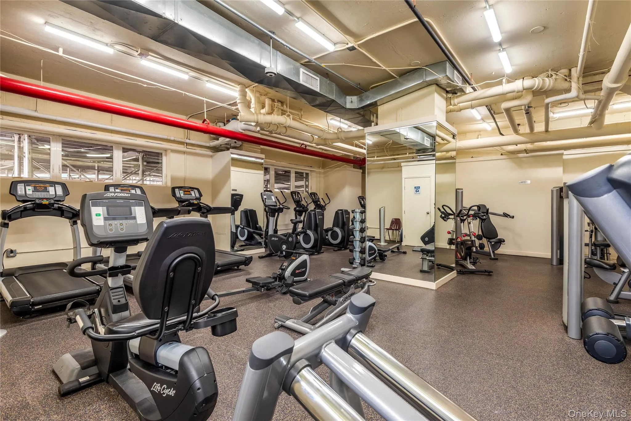 102-10 66th Road, New York, NY, 1 Bedroom Bedrooms, 3 Rooms Rooms,1 BathroomBathrooms,Residential,For Rent,66th,0,1011223 102-10 66th Road, New York, NY, 1 Bedroom Bedrooms, 3 Rooms Rooms,1 BathroomBathrooms,Residential,For Rent,66th,0,1011223