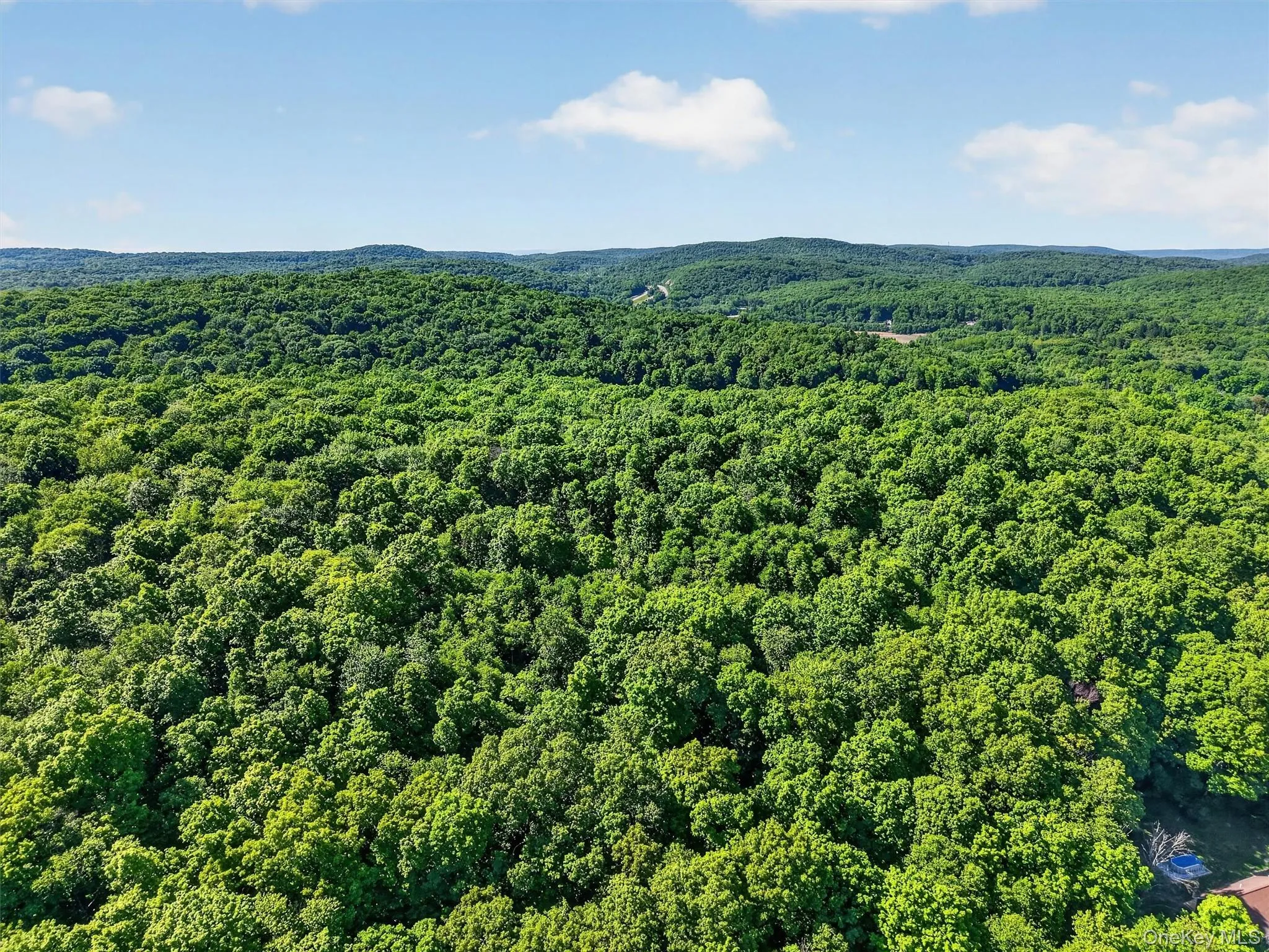 So much possibility exists for these 98.77 acres! So much possibility exists for these 98.77 acres!