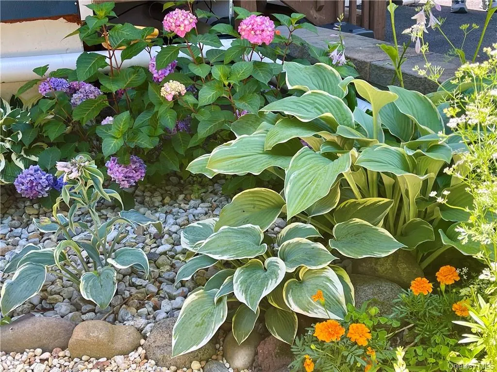 Landscaped with a lush perennial garden Landscaped with a lush perennial garden