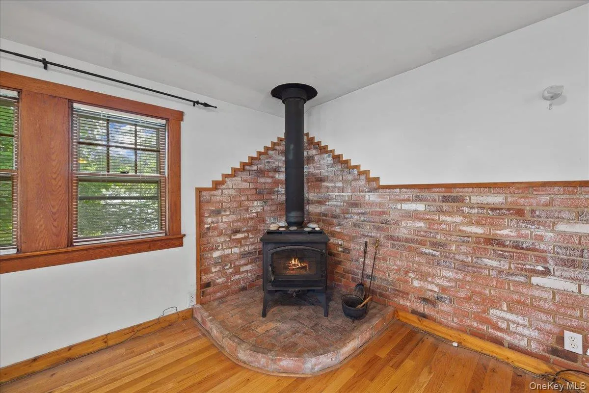 wood burning stove wood burning stove
