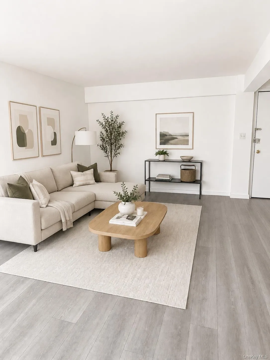Living room Virtually Staged Living room Virtually Staged