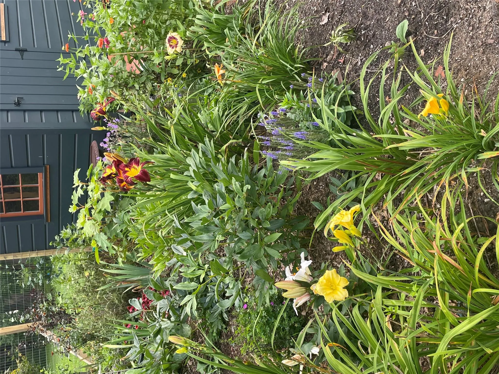 Enjoy the beautiful gardens Enjoy the beautiful gardens