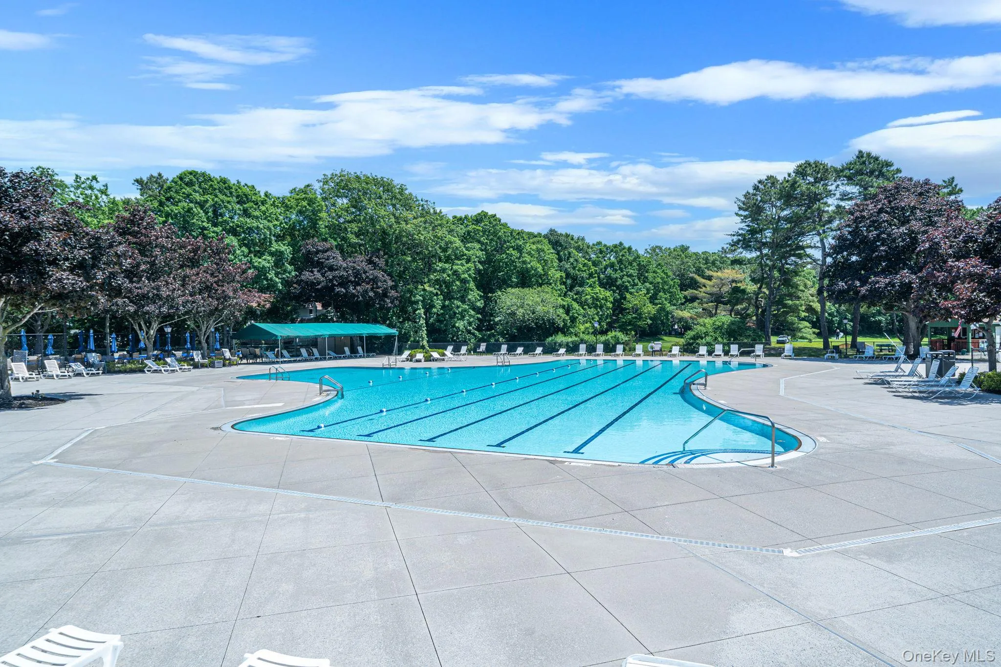 794 Blue Ridge Drive, Brookhaven, NY, 2 Bedrooms Bedrooms, 5 Rooms Rooms,1 BathroomBathrooms,Residential,For Rent,Blue Ridge,0,1011298 794 Blue Ridge Drive, Brookhaven, NY, 2 Bedrooms Bedrooms, 5 Rooms Rooms,1 BathroomBathrooms,Residential,For Rent,Blue Ridge,0,1011298