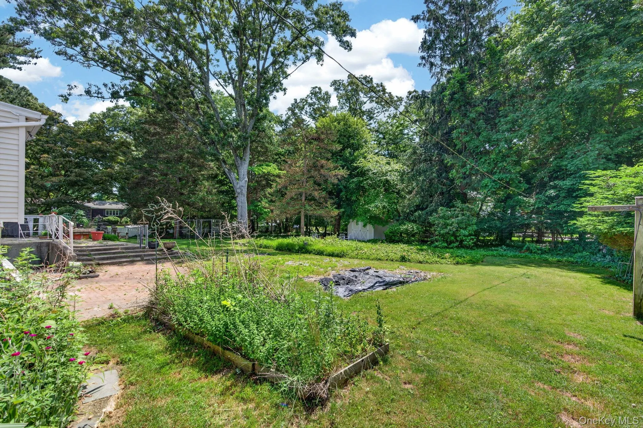 14 Mark Drive, Smithtown, NY, 4 Bedrooms Bedrooms, 8 Rooms Rooms,2 BathroomsBathrooms,Residential,For Rent,Mark,0,1011307 14 Mark Drive, Smithtown, NY, 4 Bedrooms Bedrooms, 8 Rooms Rooms,2 BathroomsBathrooms,Residential,For Rent,Mark,0,1011307