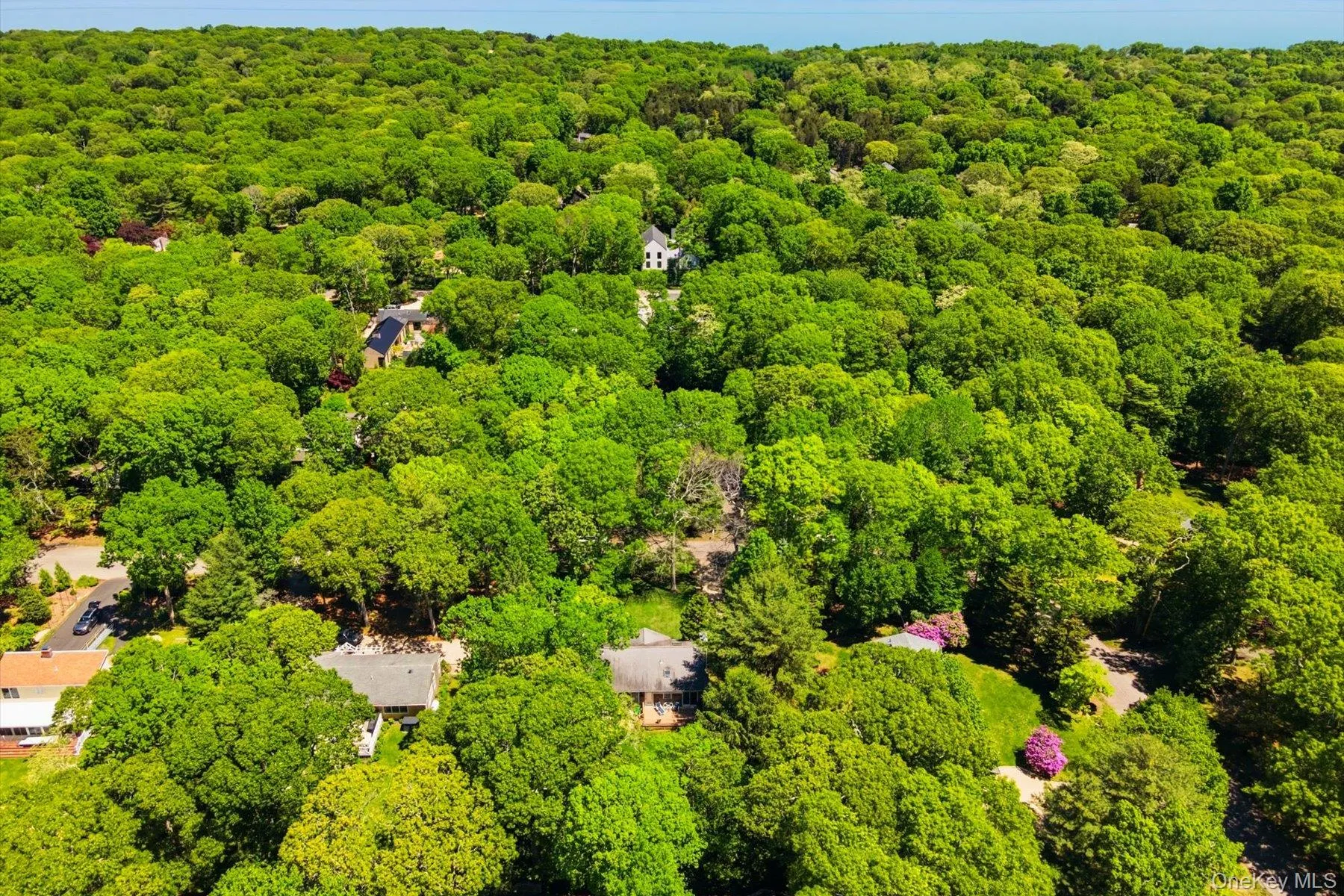 34 Waterhole Road, East Hampton, NY, 3 Bedrooms Bedrooms, 7 Rooms Rooms,2 BathroomsBathrooms,Residential,For Rent,Waterhole,0,1011320 34 Waterhole Road, East Hampton, NY, 3 Bedrooms Bedrooms, 7 Rooms Rooms,2 BathroomsBathrooms,Residential,For Rent,Waterhole,0,1011320