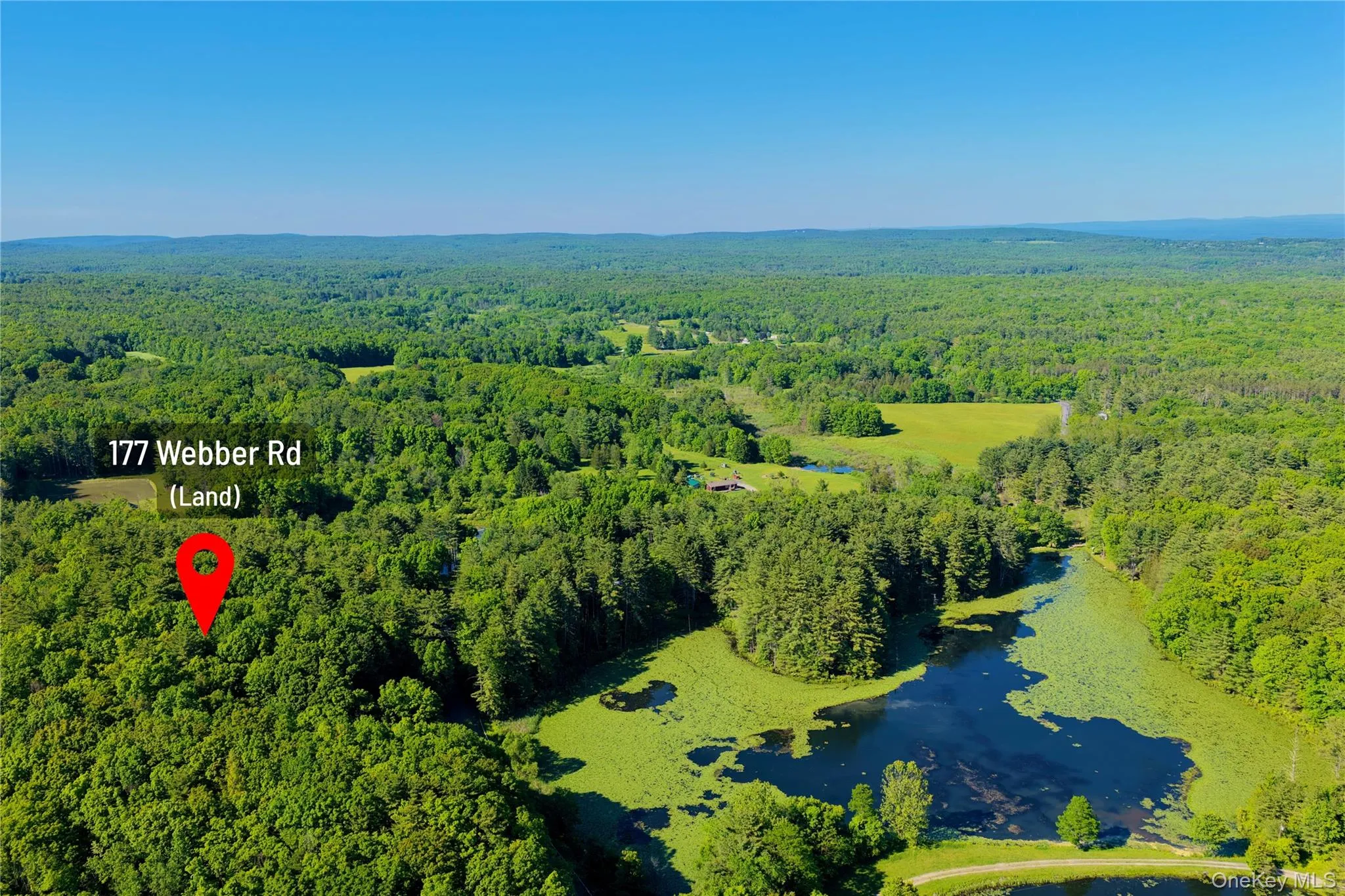 177 Webber Road, Coxsackie, NY, ,Land,For Rent,Webber,0,1011333 177 Webber Road, Coxsackie, NY, ,Land,For Rent,Webber,0,1011333