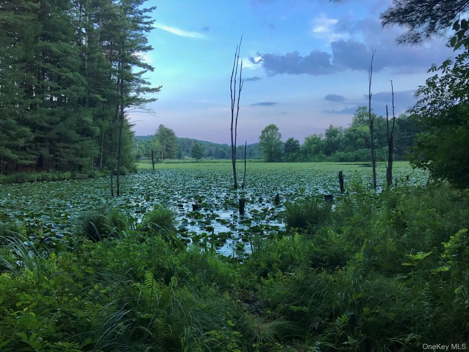 177 Webber Road, Coxsackie, NY, ,Land,For Rent,Webber,0,1011333 177 Webber Road, Coxsackie, NY, ,Land,For Rent,Webber,0,1011333