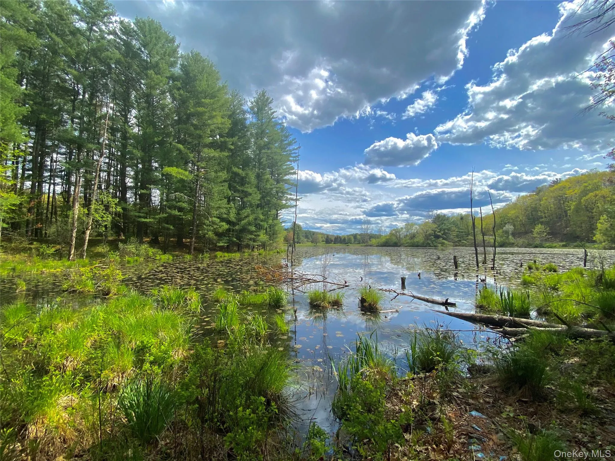 177 Webber Road, Coxsackie, NY, ,Land,For Rent,Webber,0,1011333 177 Webber Road, Coxsackie, NY, ,Land,For Rent,Webber,0,1011333