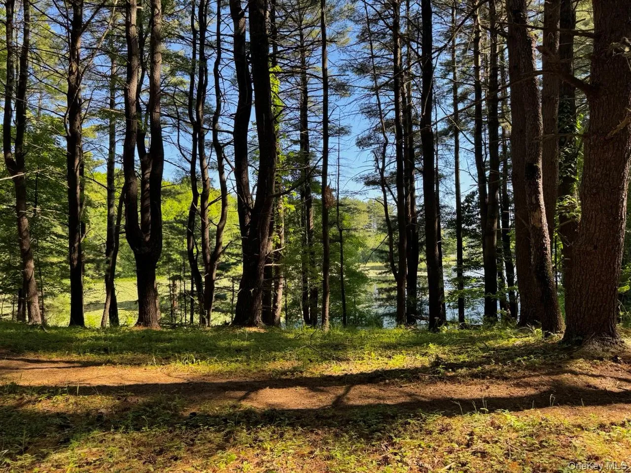 177 Webber Road, Coxsackie, NY, ,Land,For Rent,Webber,0,1011333 177 Webber Road, Coxsackie, NY, ,Land,For Rent,Webber,0,1011333