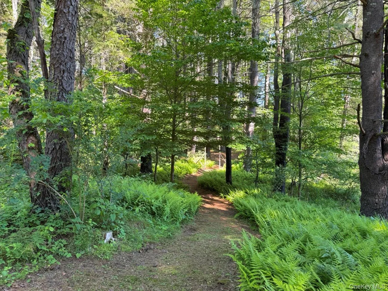 177 Webber Road, Coxsackie, NY, ,Land,For Rent,Webber,0,1011333 177 Webber Road, Coxsackie, NY, ,Land,For Rent,Webber,0,1011333