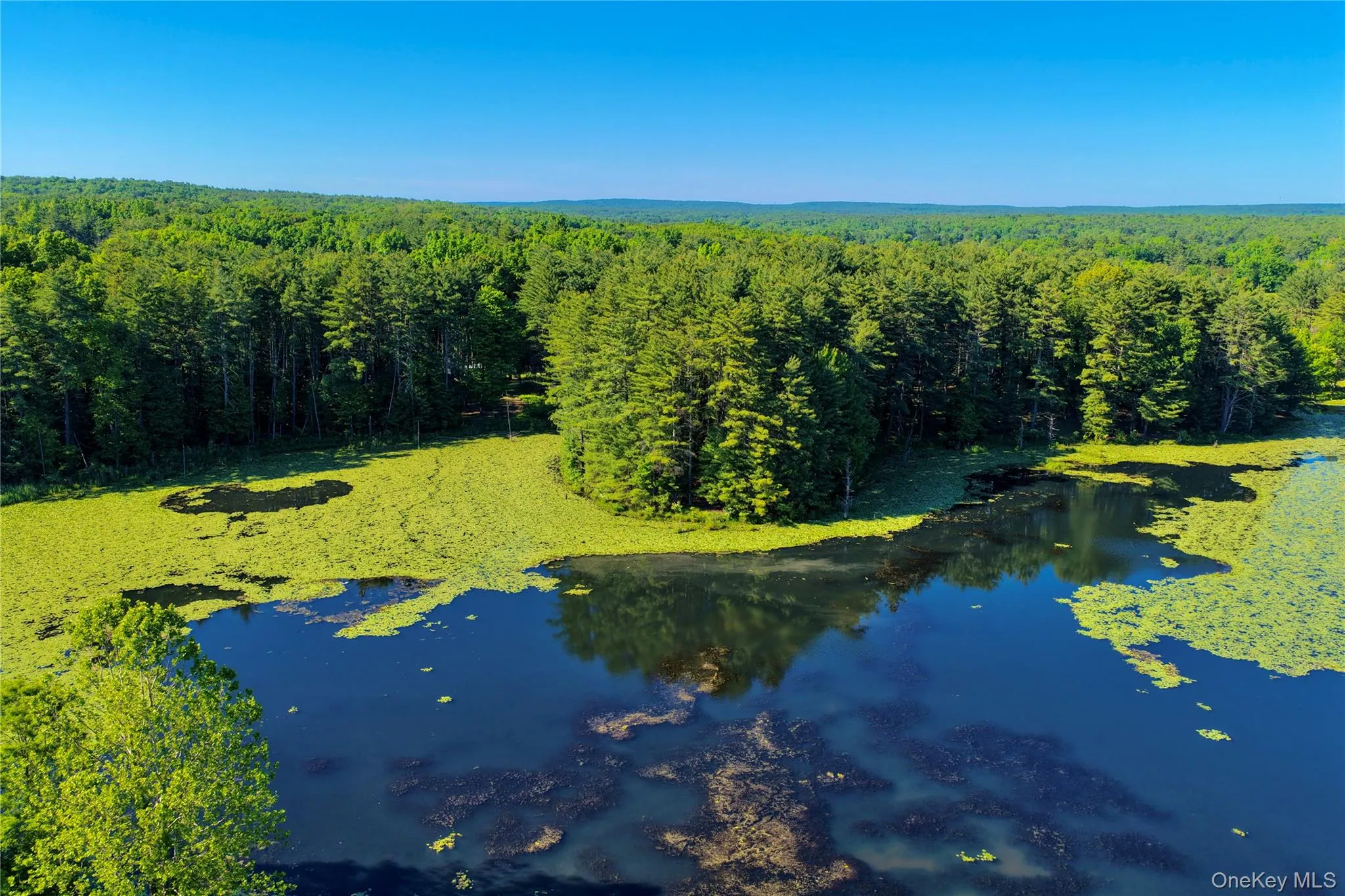 177 Webber Road, Coxsackie, NY, ,Land,For Rent,Webber,0,1011333 177 Webber Road, Coxsackie, NY, ,Land,For Rent,Webber,0,1011333