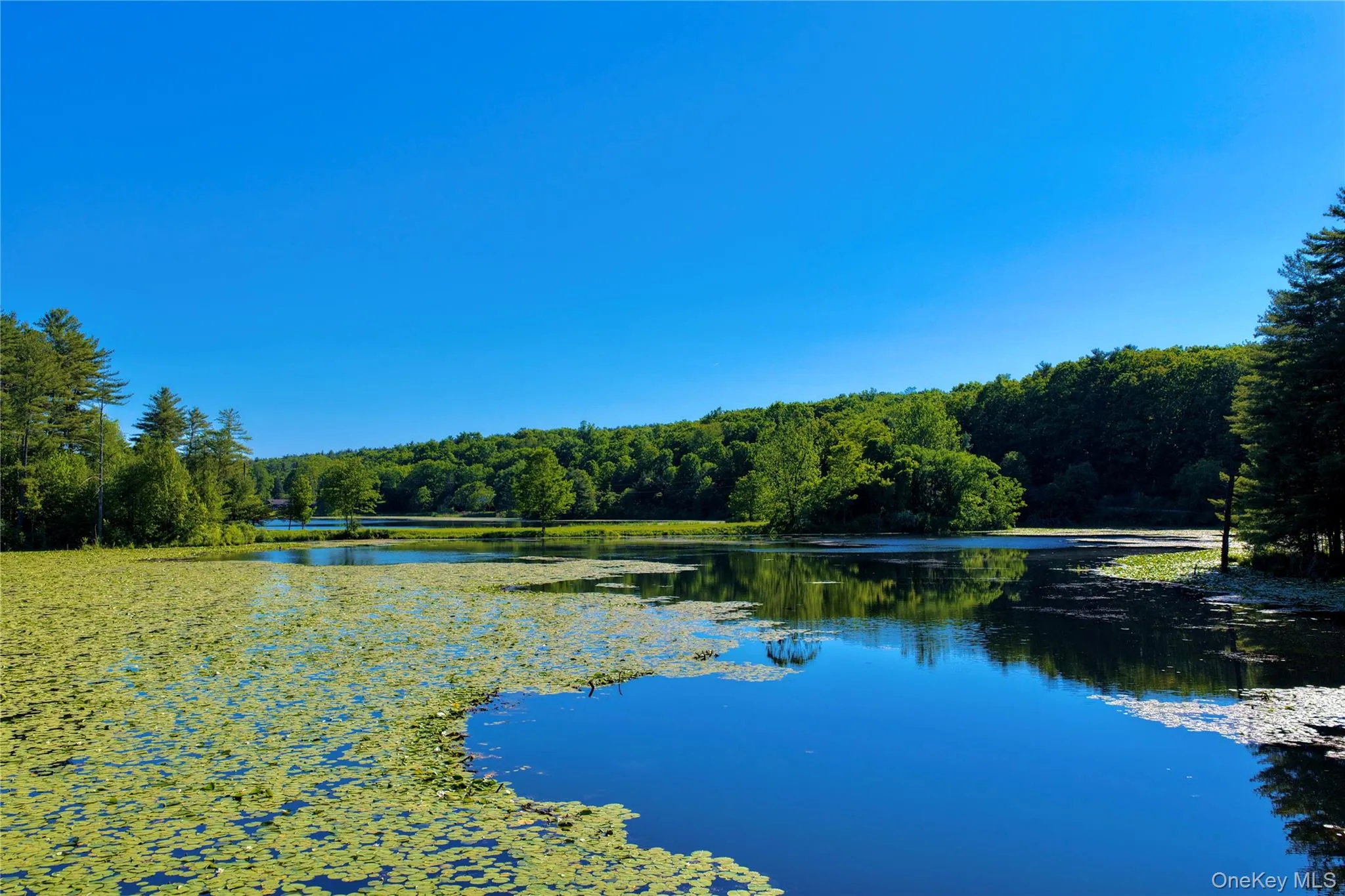 177 Webber Road, Coxsackie, NY, ,Land,For Rent,Webber,0,1011333 177 Webber Road, Coxsackie, NY, ,Land,For Rent,Webber,0,1011333