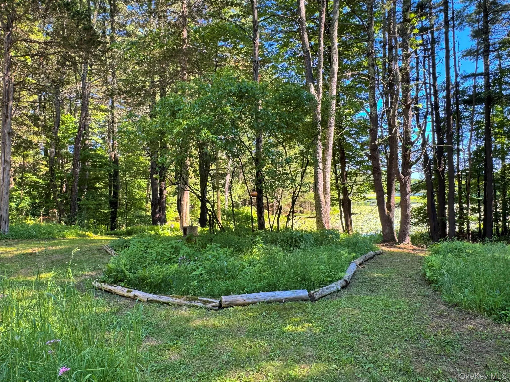 177 Webber Road, Coxsackie, NY, ,Land,For Rent,Webber,0,1011333 177 Webber Road, Coxsackie, NY, ,Land,For Rent,Webber,0,1011333