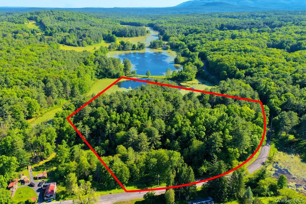 177 Webber Road, Coxsackie, NY, ,Land,For Rent,Webber,0,1011333 177 Webber Road, Coxsackie, NY, ,Land,For Rent,Webber,0,1011333