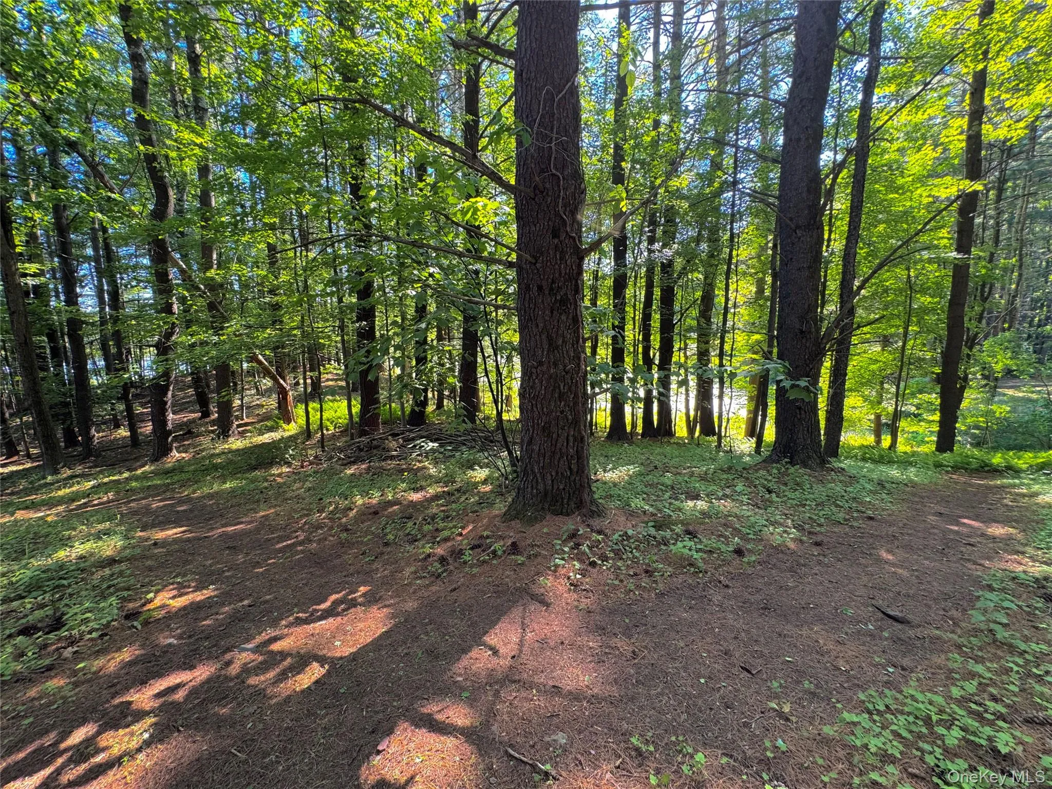 177 Webber Road, Coxsackie, NY, ,Land,For Rent,Webber,0,1011333 177 Webber Road, Coxsackie, NY, ,Land,For Rent,Webber,0,1011333
