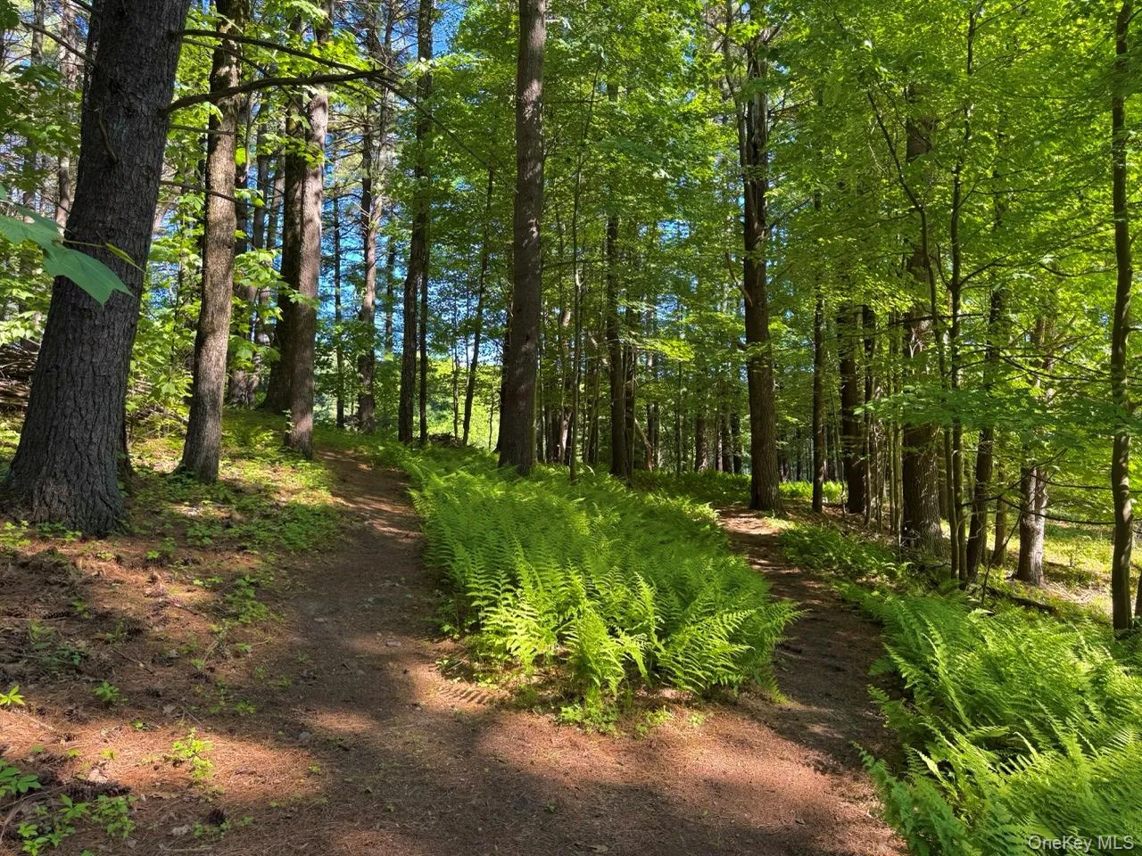 177 Webber Road, Coxsackie, NY, ,Land,For Rent,Webber,0,1011333 177 Webber Road, Coxsackie, NY, ,Land,For Rent,Webber,0,1011333