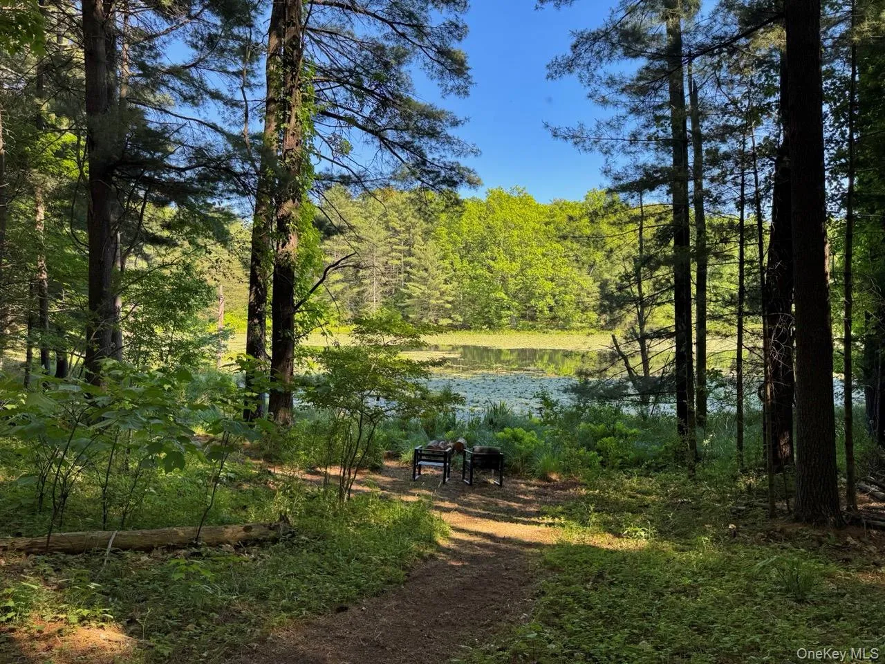177 Webber Road, Coxsackie, NY, ,Land,For Rent,Webber,0,1011333 177 Webber Road, Coxsackie, NY, ,Land,For Rent,Webber,0,1011333