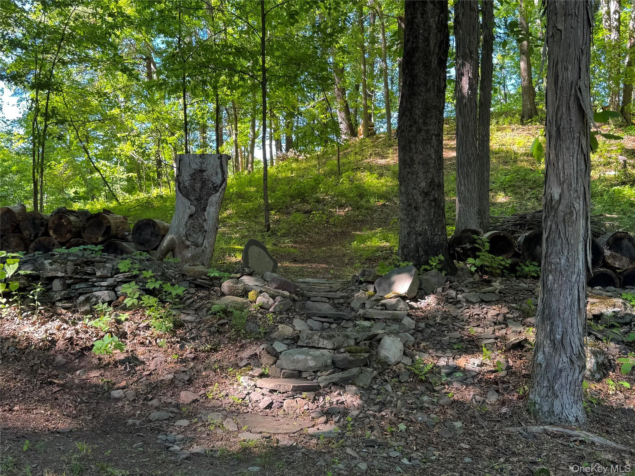177 Webber Road, Coxsackie, NY, ,Land,For Rent,Webber,0,1011333 177 Webber Road, Coxsackie, NY, ,Land,For Rent,Webber,0,1011333
