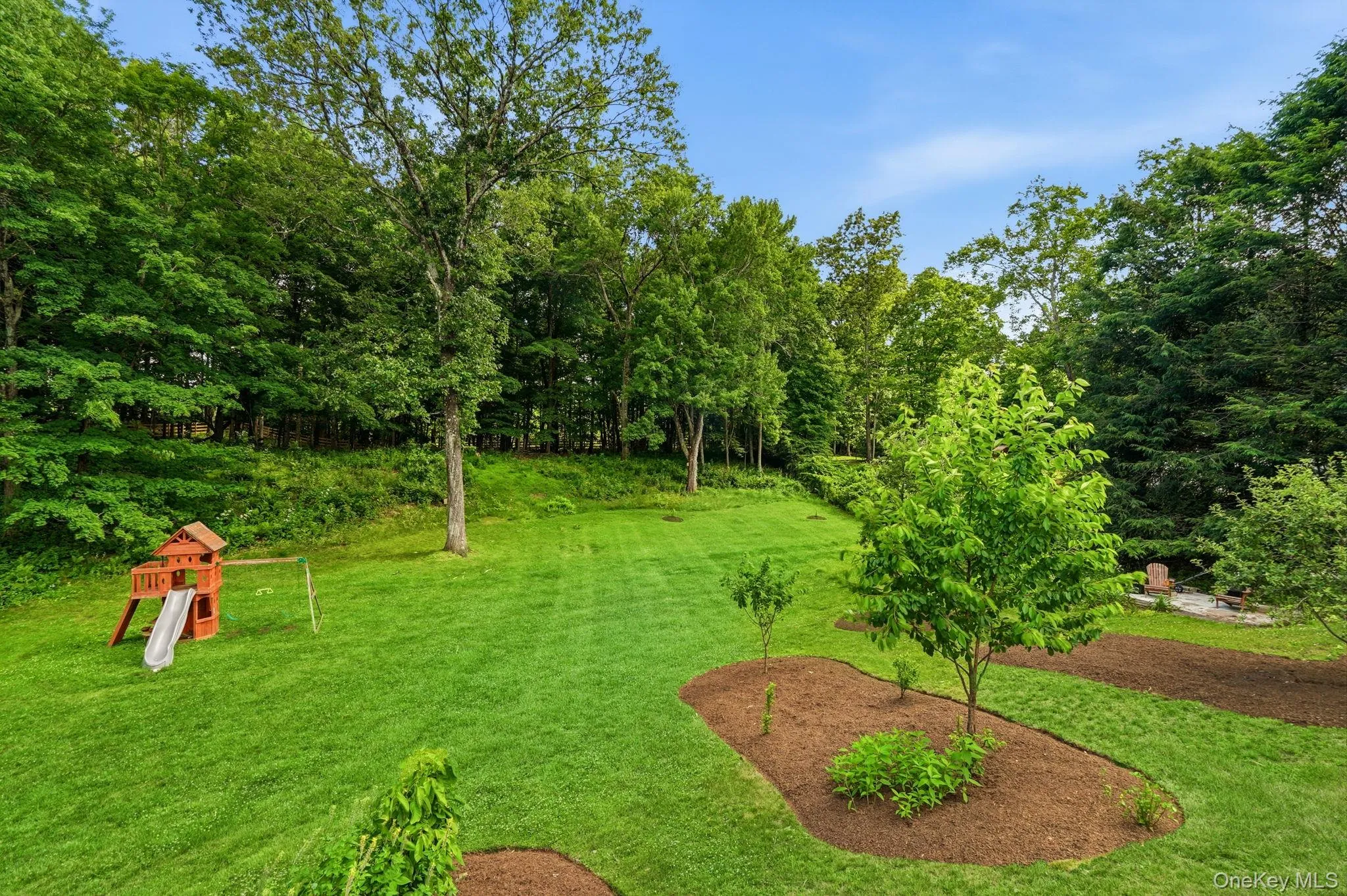 Back yard view with specimen plantings Back yard view with specimen plantings