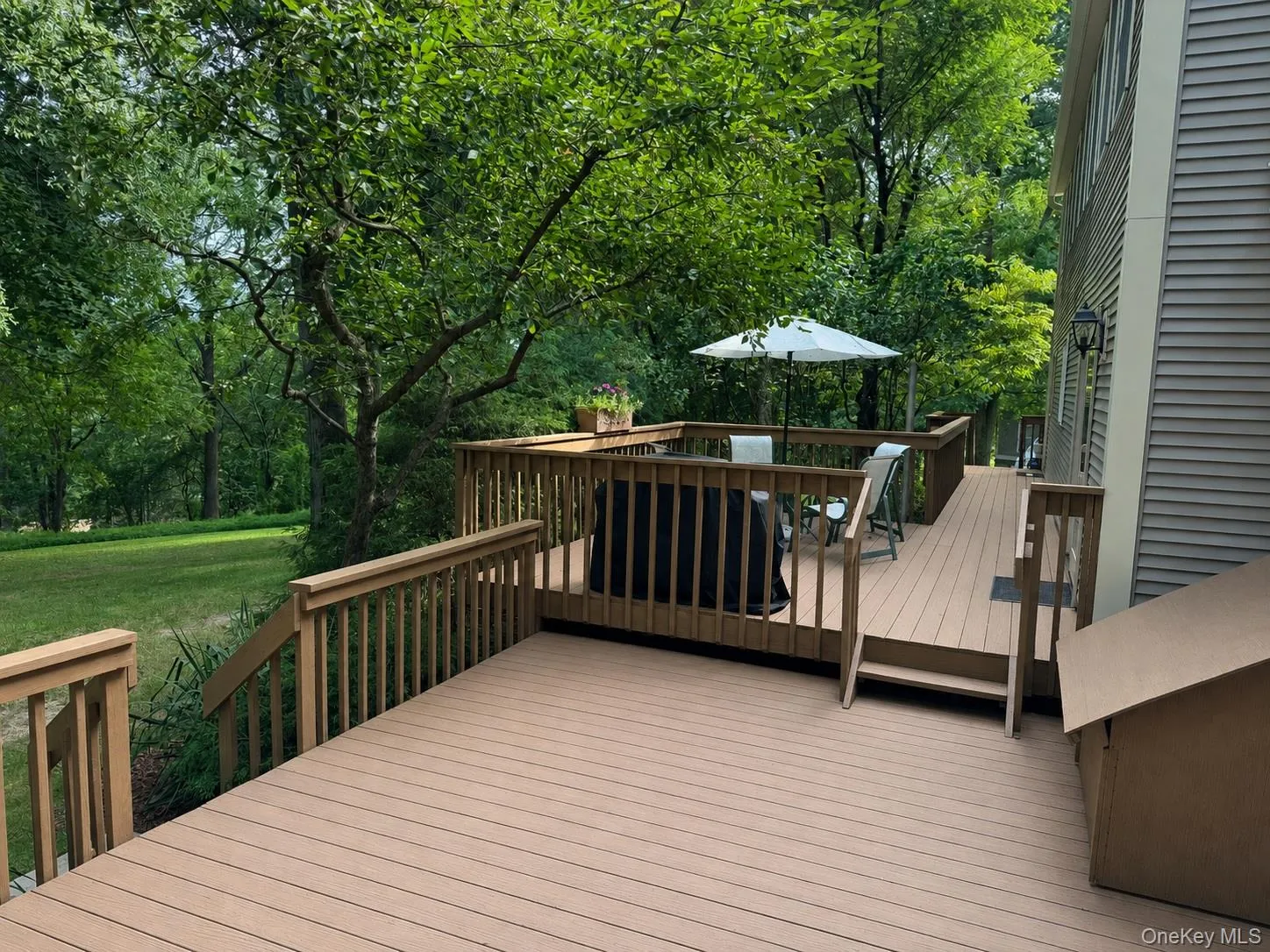 Back Decks Back Decks