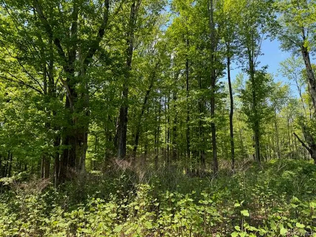 00 Polster, Delaware, NY, ,Land,For Rent,Polster,0,1011401 00 Polster, Delaware, NY, ,Land,For Rent,Polster,0,1011401