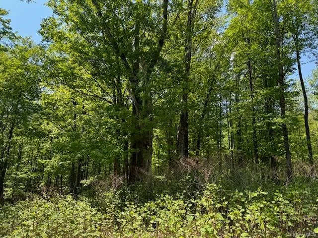 00 Polster, Delaware, NY, ,Land,For Rent,Polster,0,1011401 00 Polster, Delaware, NY, ,Land,For Rent,Polster,0,1011401