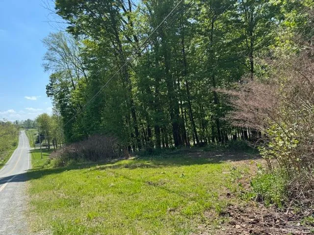 00 Polster, Delaware, NY, ,Land,For Rent,Polster,0,1011401 00 Polster, Delaware, NY, ,Land,For Rent,Polster,0,1011401