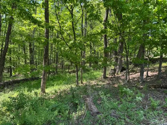 00 Polster, Delaware, NY, ,Land,For Rent,Polster,0,1011401 00 Polster, Delaware, NY, ,Land,For Rent,Polster,0,1011401