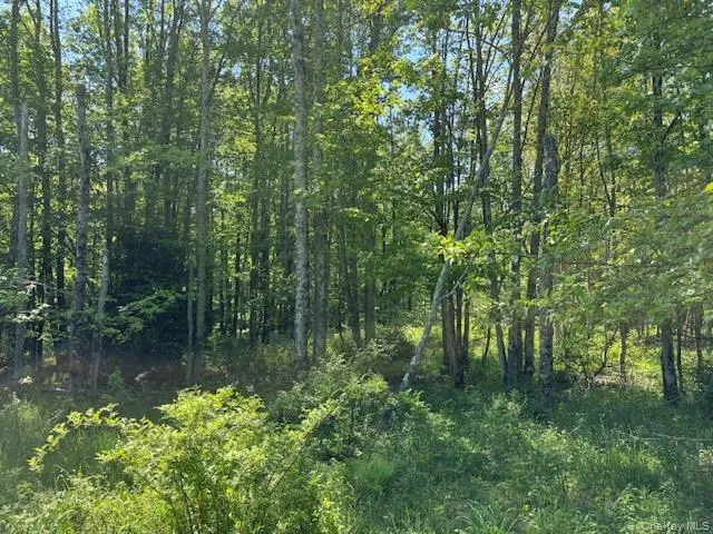 00 Polster, Delaware, NY, ,Land,For Rent,Polster,0,1011401 00 Polster, Delaware, NY, ,Land,For Rent,Polster,0,1011401