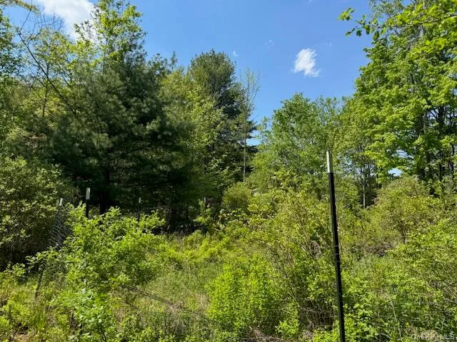 00 Polster, Delaware, NY, ,Land,For Rent,Polster,0,1011401 00 Polster, Delaware, NY, ,Land,For Rent,Polster,0,1011401