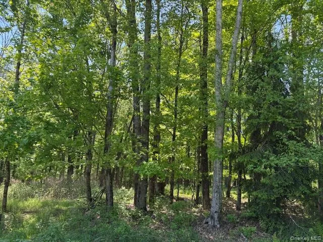 00 Polster, Delaware, NY, ,Land,For Rent,Polster,0,1011401 00 Polster, Delaware, NY, ,Land,For Rent,Polster,0,1011401