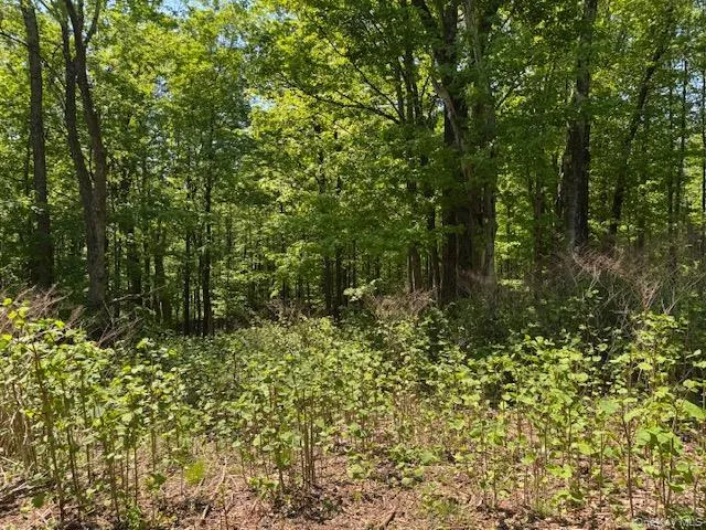 00 Polster, Delaware, NY, ,Land,For Rent,Polster,0,1011401 00 Polster, Delaware, NY, ,Land,For Rent,Polster,0,1011401