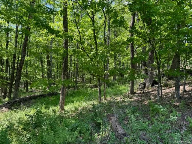 00 Polster, Delaware, NY, ,Land,For Rent,Polster,0,1011401 00 Polster, Delaware, NY, ,Land,For Rent,Polster,0,1011401