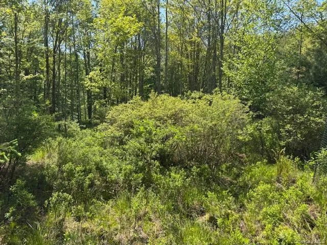 00 Polster, Delaware, NY, ,Land,For Rent,Polster,0,1011401 00 Polster, Delaware, NY, ,Land,For Rent,Polster,0,1011401
