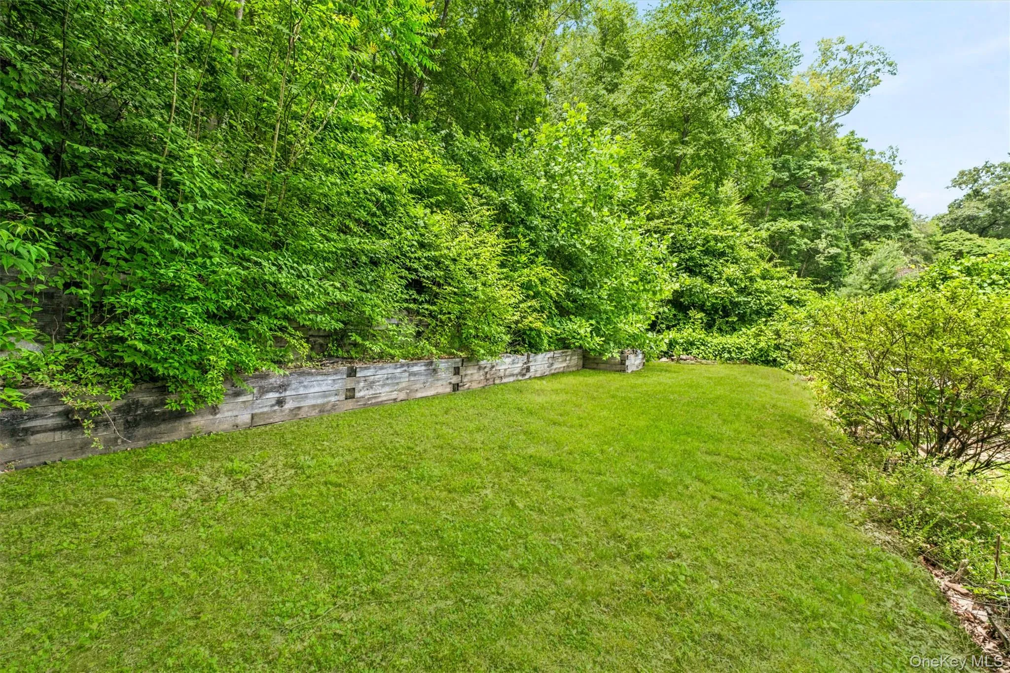 Level lush lawn for games and maybe a pool Level lush lawn for games and maybe a pool