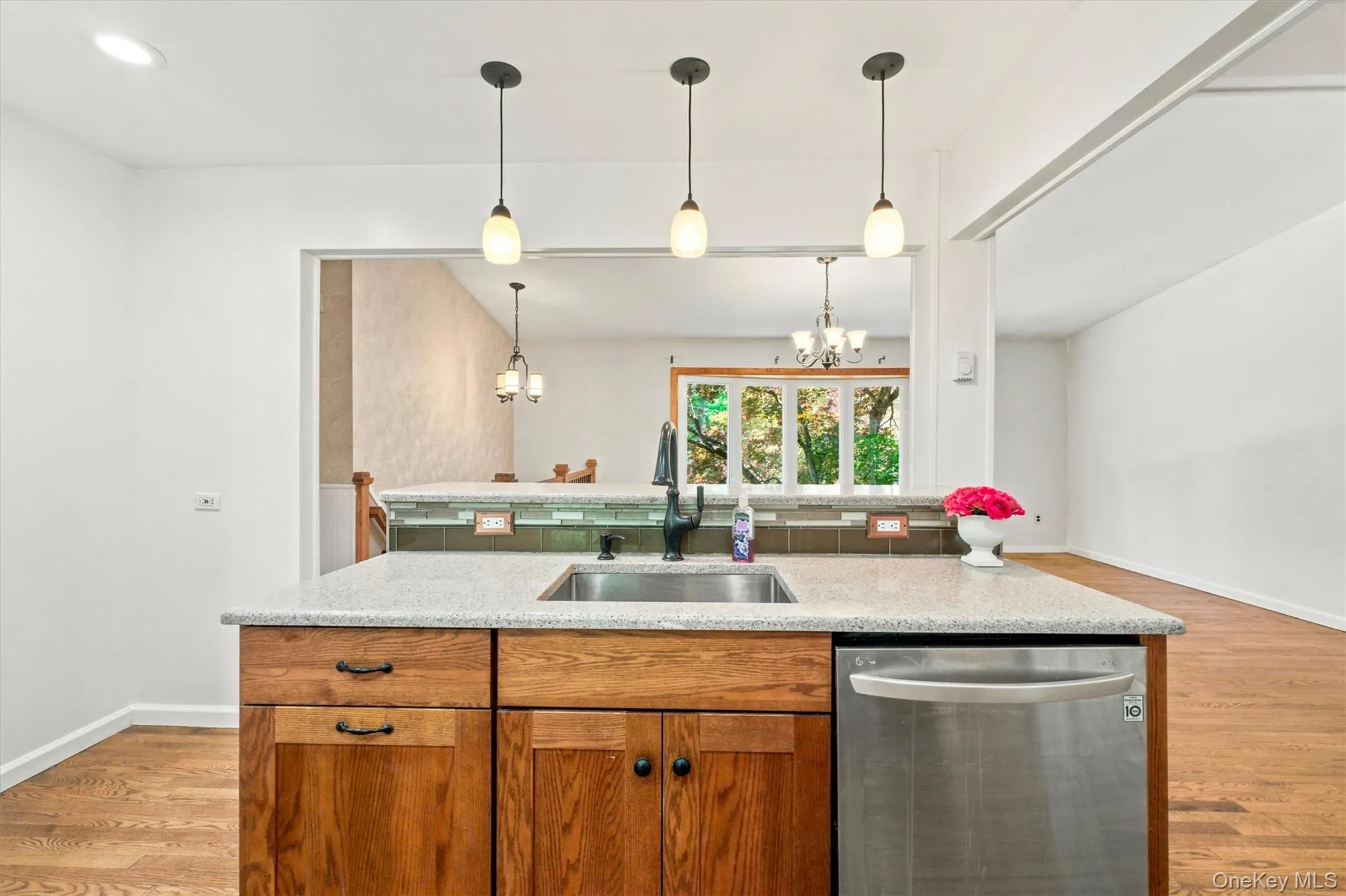 Island with dishwasher-view into the living room Island with dishwasher-view into the living room