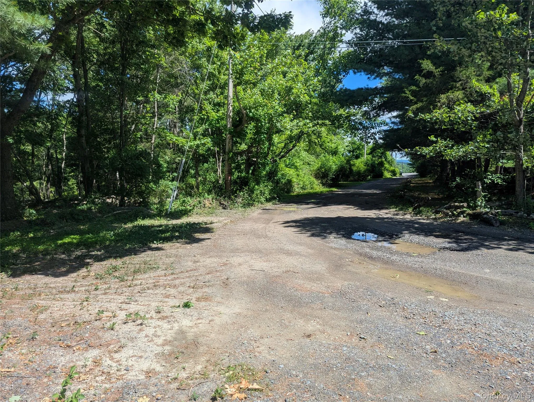 The "Ridge" potential future buildable lot located further up High View Terrace The "Ridge" potential future buildable lot located further up High View Terrace