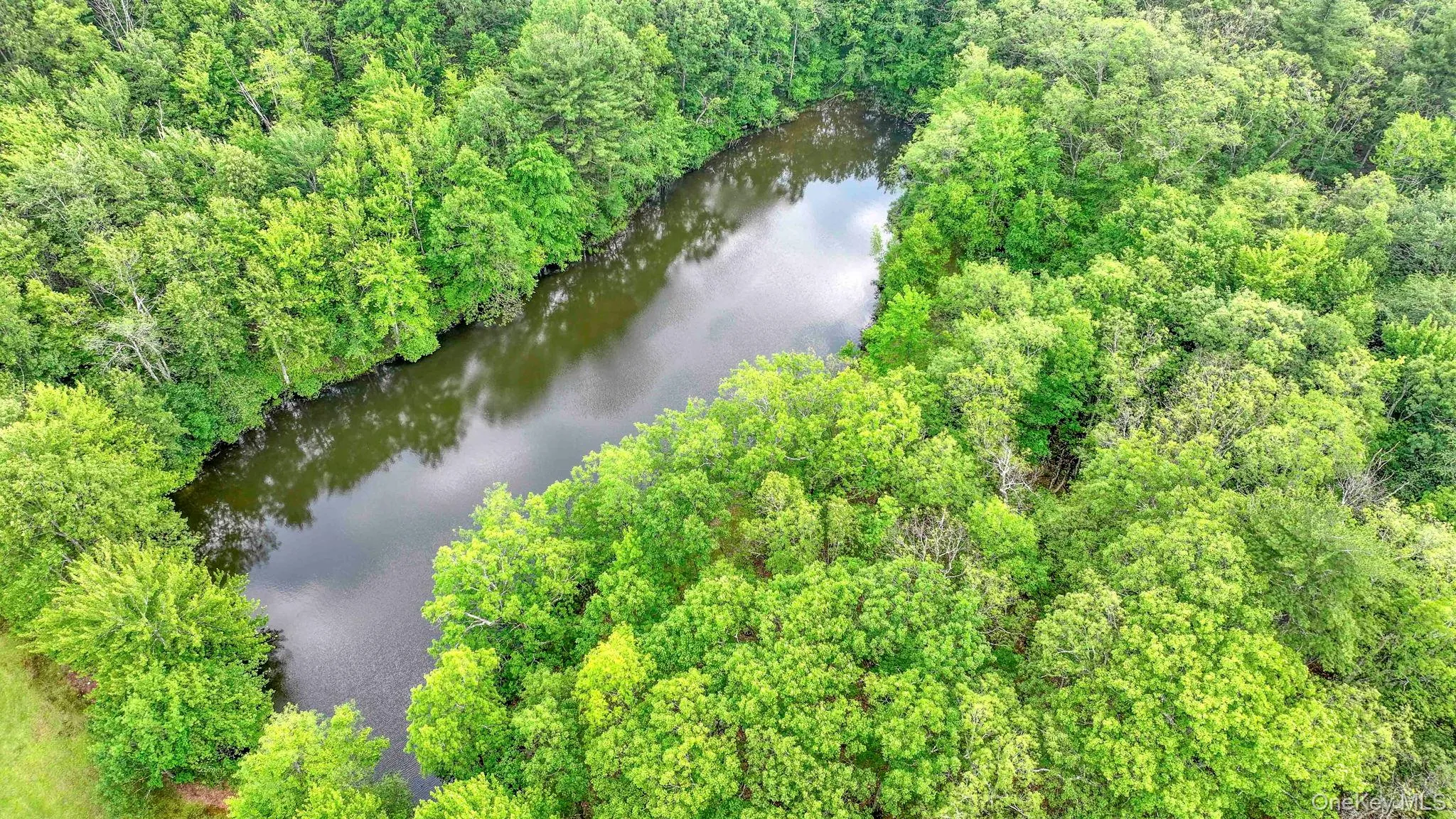 Drone / aerial view of a large body of water and a forest Drone / aerial view of a large body of water and a forest
