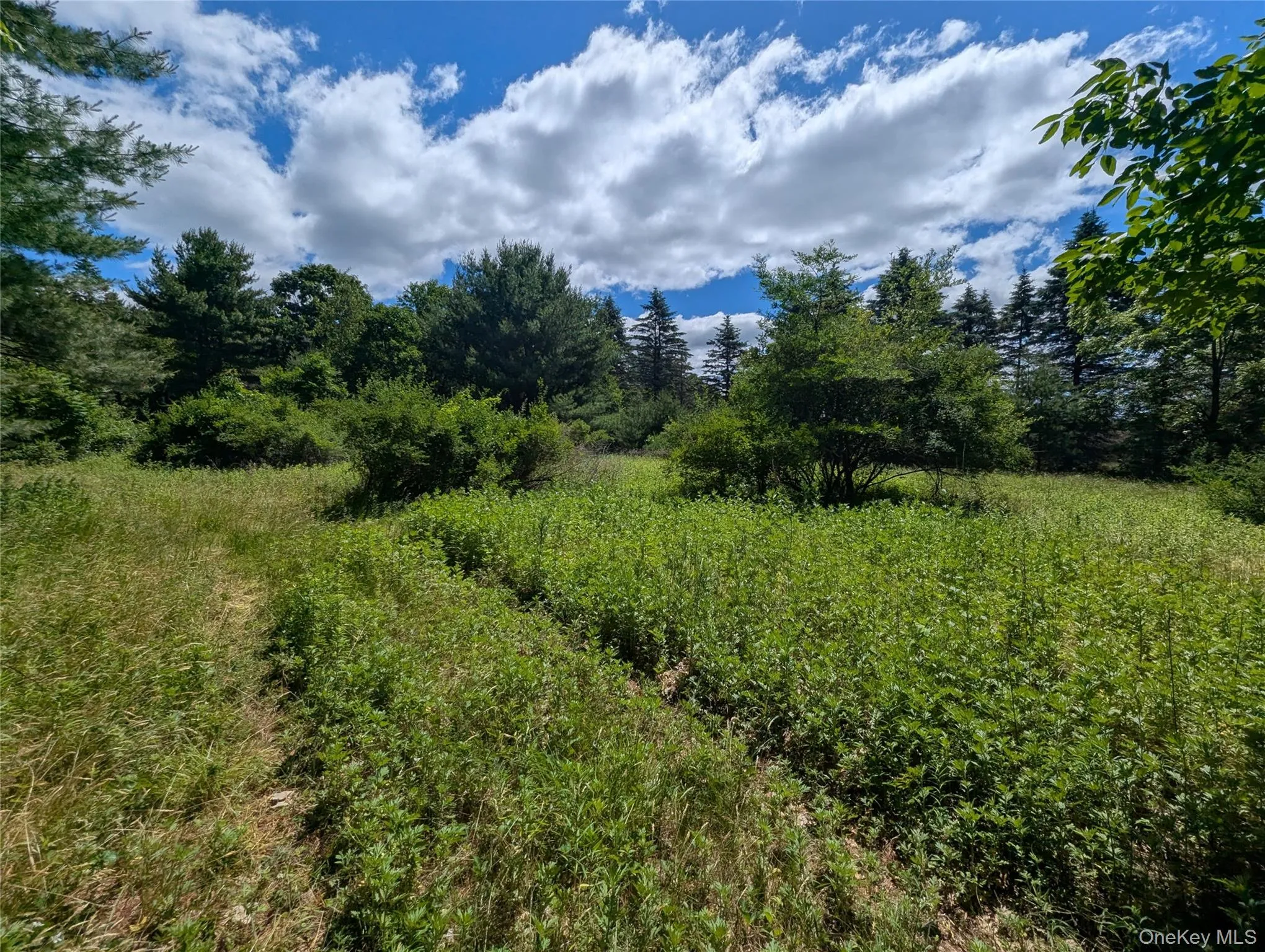 The "Ridge" potential future buildable lot located further up High View Terrace The "Ridge" potential future buildable lot located further up High View Terrace