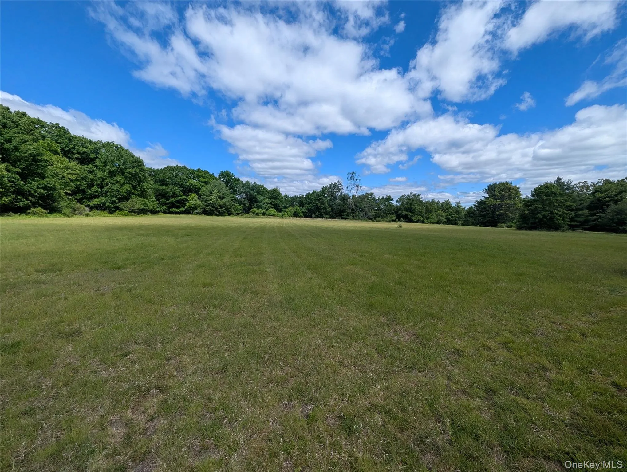 Level, cleared buildable lot Level, cleared buildable lot