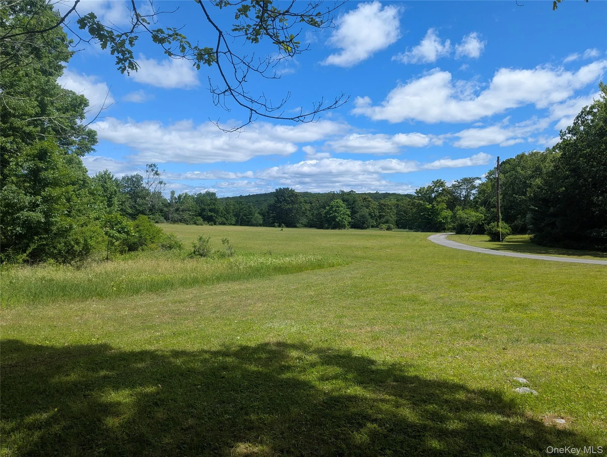 Level, cleared buildable lot Level, cleared buildable lot